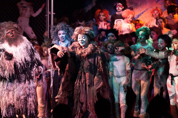 Cast of Cats